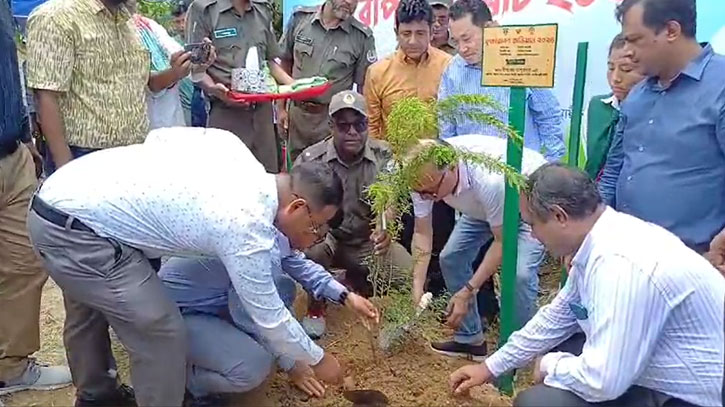 পরিবেশের ভারসাম্য রক্ষায় বৃক্ষরোপণের বিকল্প নেই: দীপংকর তালুকদার