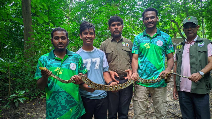 চন্দ্রঘোনা কেপিএম এলাকা থেকে উদ্ধার করা অজগর জাতীয় উদ্যানে অবমুক্ত