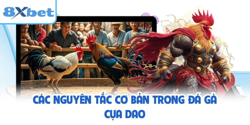 Các nguyên tắc cơ bản trong đá gà cựa dao