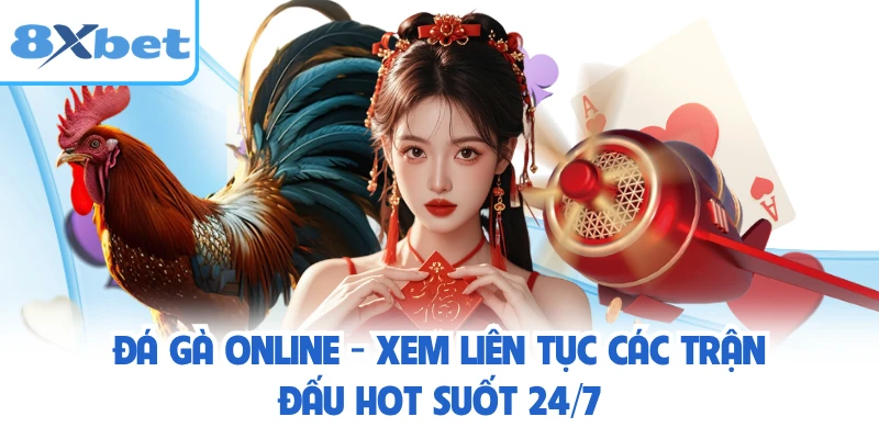 Đá Gà Online - Xem Liên Tục Các Trận Đấu Hot Suốt 24/7