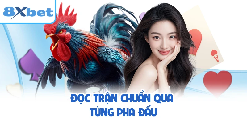 Đọc trận chuẩn qua từng pha đấu