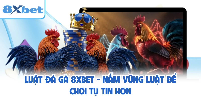 Luật Đá Gà 8XBET - Nắm Vững Luật Để Chơi Tự Tin Hơn