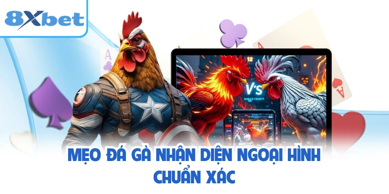 Mẹo đá gà nhận diện ngoại hình chuẩn xác